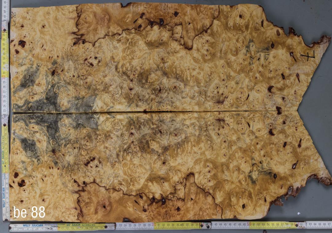 Buckeye Burl Decke 'BE88' Book-Matched